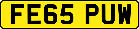 FE65PUW