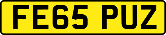 FE65PUZ