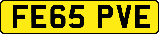 FE65PVE