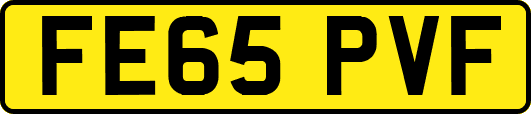 FE65PVF