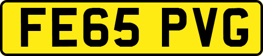 FE65PVG