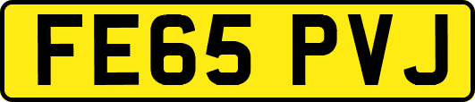 FE65PVJ