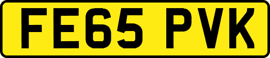 FE65PVK