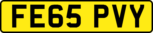 FE65PVY