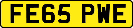 FE65PWE