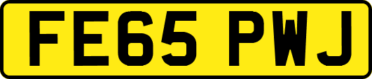 FE65PWJ