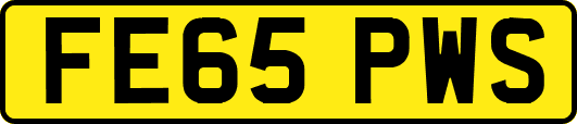 FE65PWS