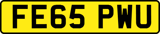 FE65PWU