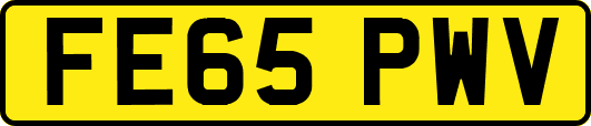 FE65PWV