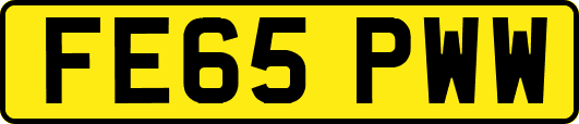 FE65PWW