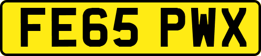 FE65PWX