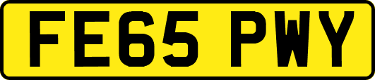 FE65PWY