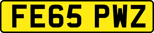 FE65PWZ