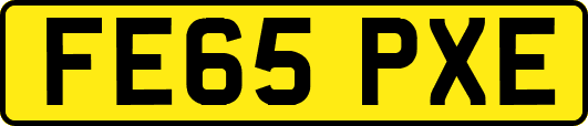 FE65PXE