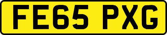 FE65PXG