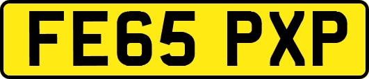 FE65PXP