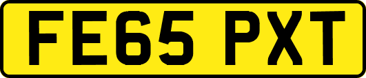 FE65PXT