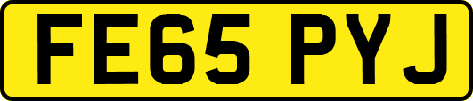 FE65PYJ