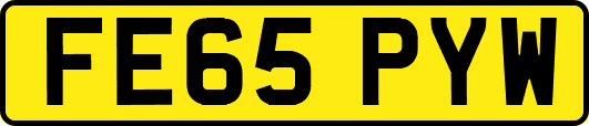 FE65PYW
