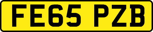 FE65PZB