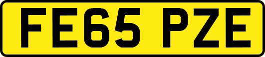 FE65PZE