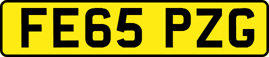 FE65PZG
