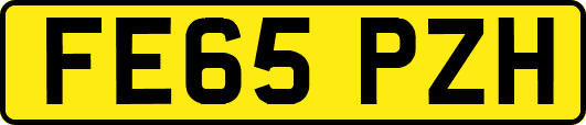 FE65PZH