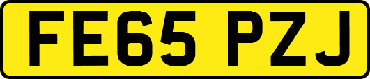 FE65PZJ
