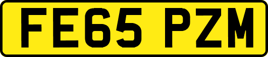 FE65PZM