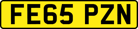 FE65PZN
