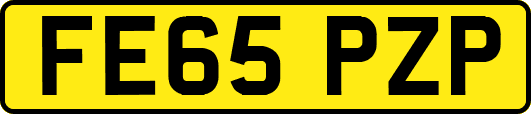 FE65PZP
