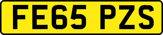 FE65PZS