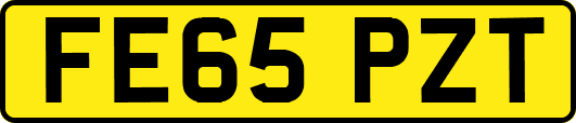 FE65PZT