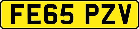 FE65PZV