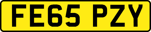 FE65PZY