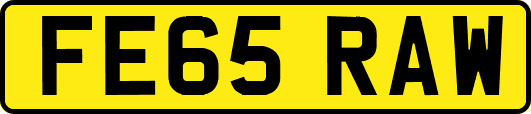FE65RAW