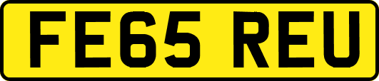 FE65REU