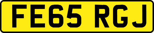 FE65RGJ
