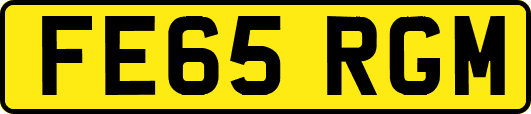 FE65RGM