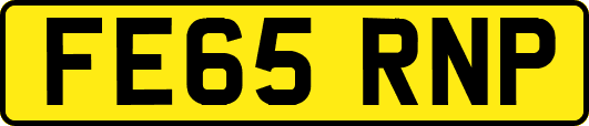 FE65RNP