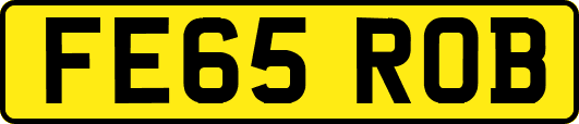 FE65ROB