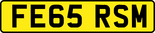 FE65RSM