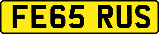 FE65RUS