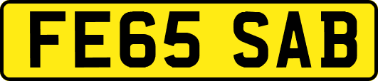 FE65SAB