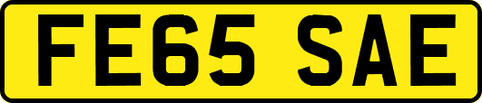FE65SAE