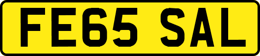 FE65SAL