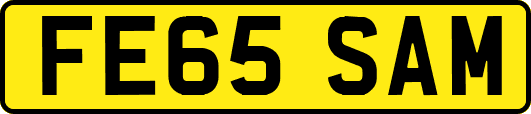 FE65SAM