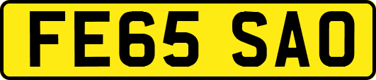 FE65SAO