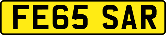 FE65SAR