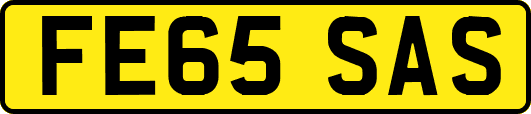 FE65SAS